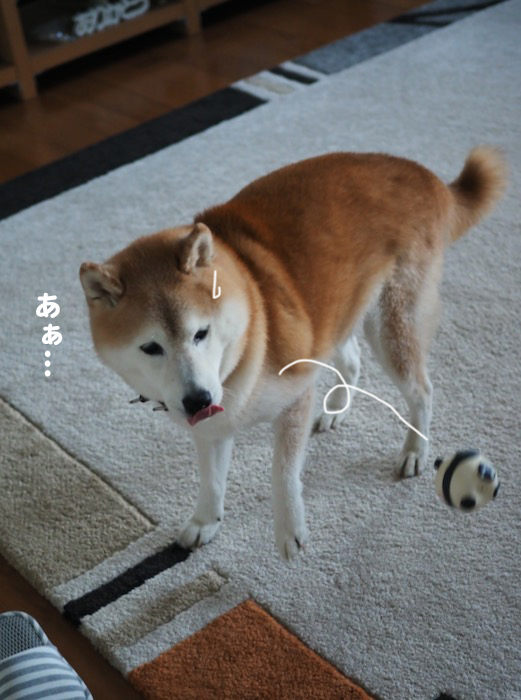 19日ブログ４