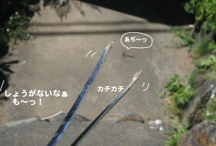 24日夕ブログ9