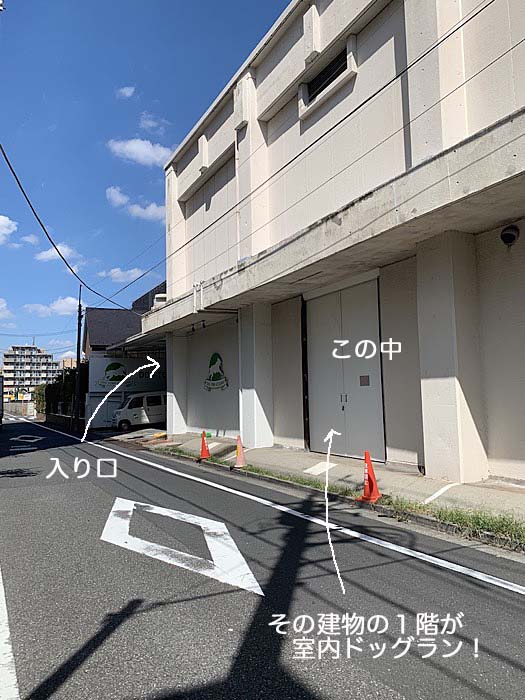 19日ブログ３