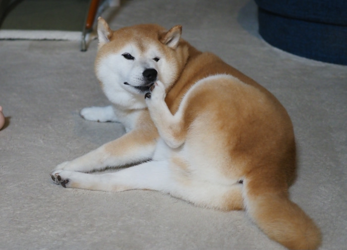 9日夜ブログ１