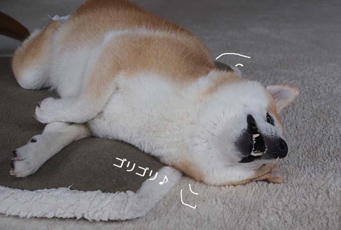 15日夜ブログ３