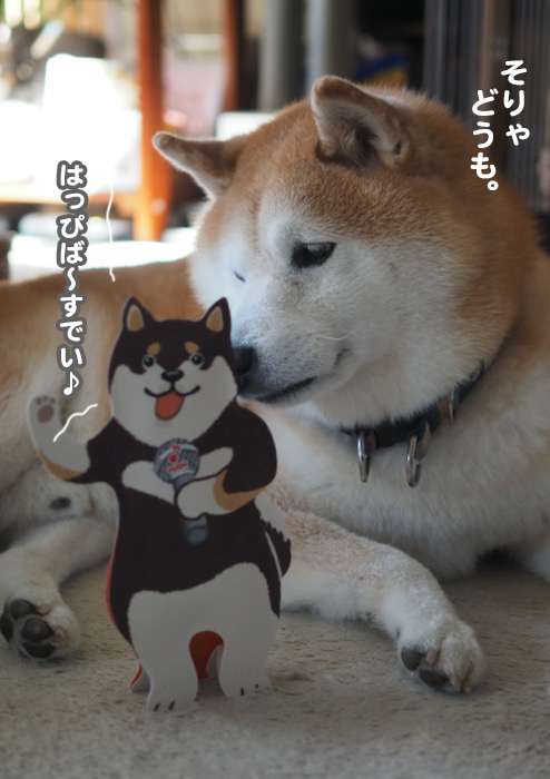 23日ブログ３