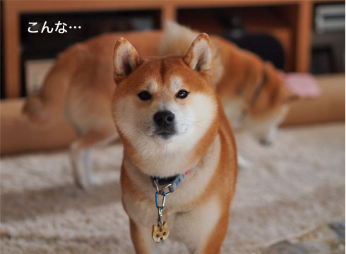 15日ブログ4.jpg