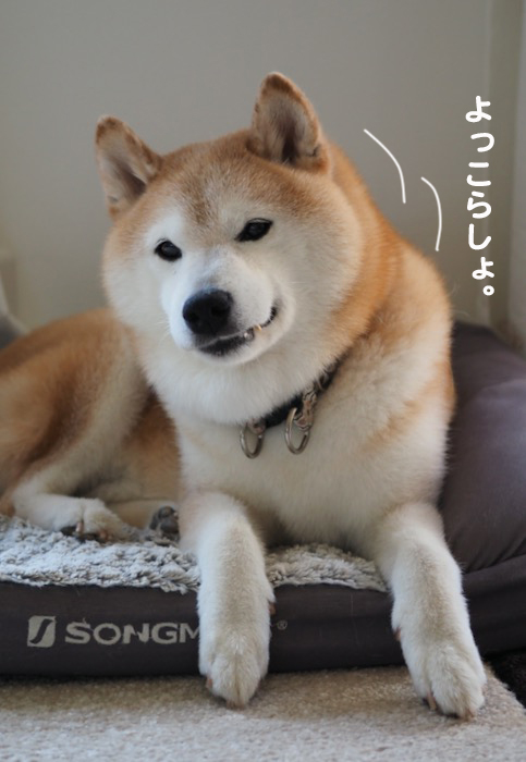 13日夕ブログ４