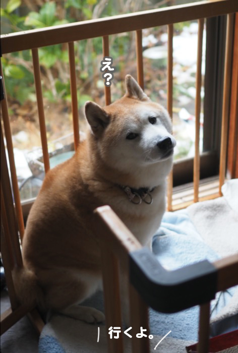 6日ブログ２