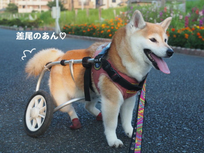 12日ブログ５
