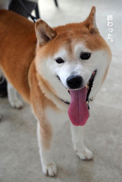 17日夜ブログ６