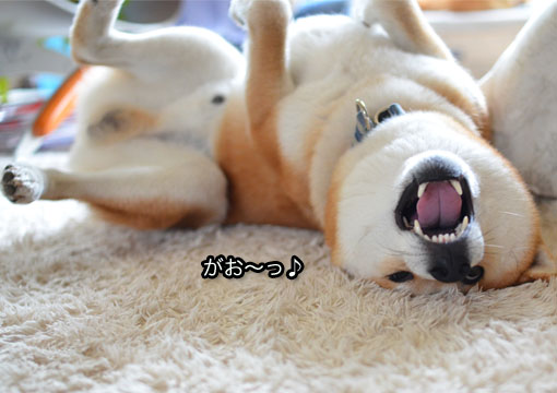 23日ブログ6.jpg
