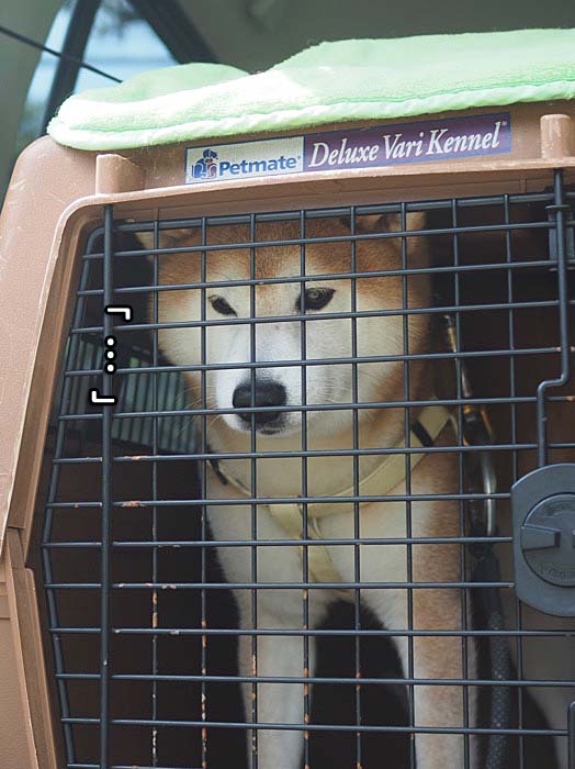 13日午後ブログ９