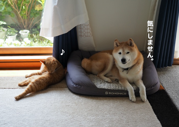 22日ブログ３