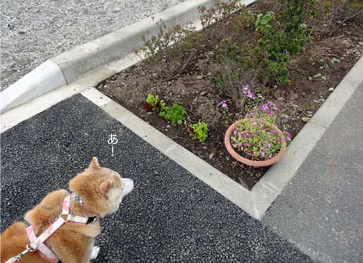 22日ブログ2.jpg