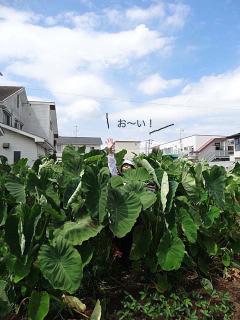 5日ブログ３