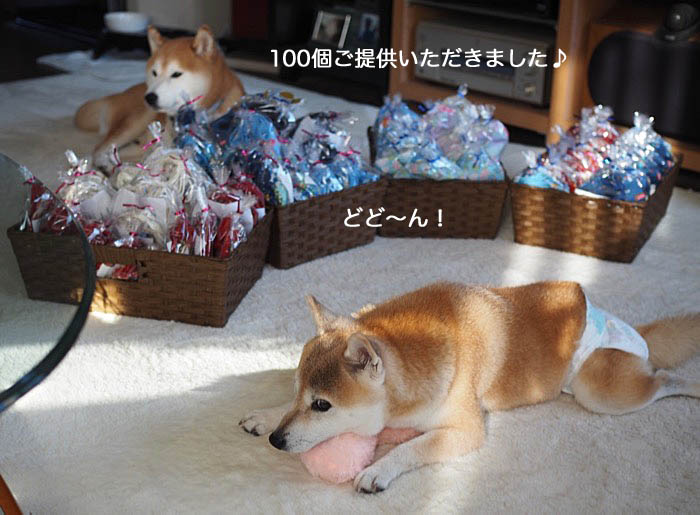 5日ブログ４