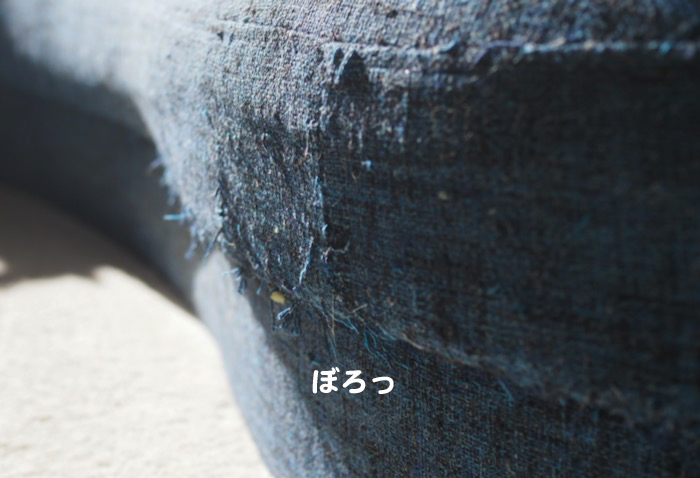 29日夕ブログ２