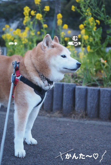 26日ブログ２