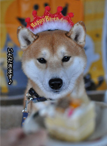 23日ブログ17.jpg