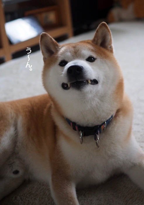 7日夜ブログ５