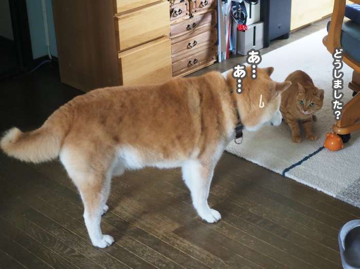 15日夕ブログ６