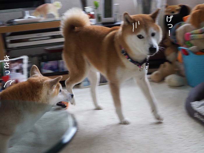 2日ブログ3
