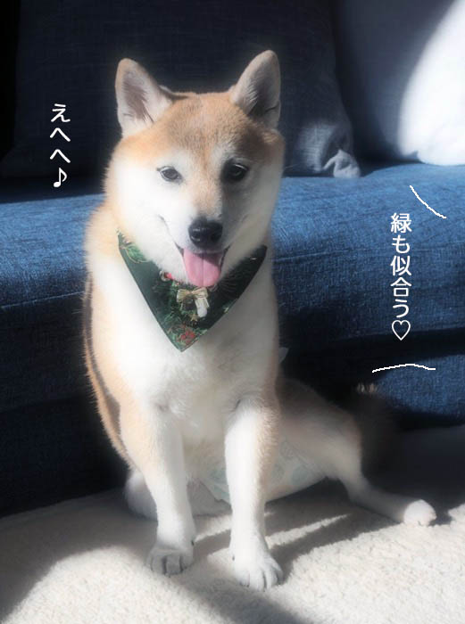 3日夕ブログ４