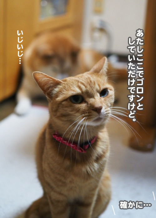 23日夕ブログ８