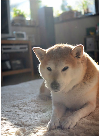 13日ブログ8.jpg