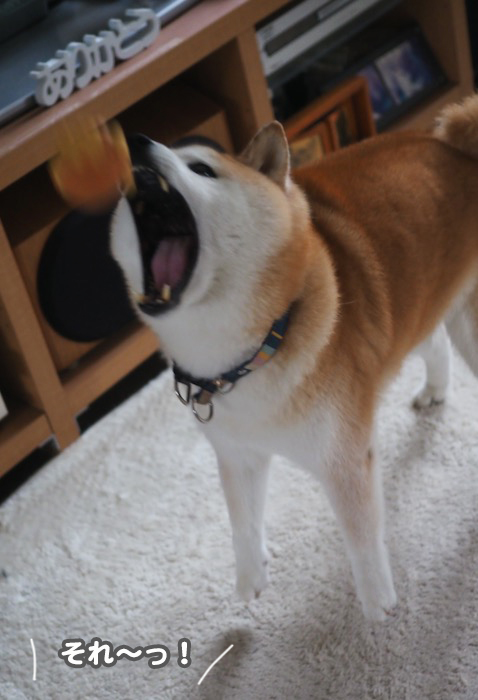 8日ブログ２