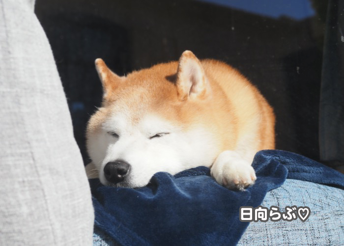 21日ブログ３