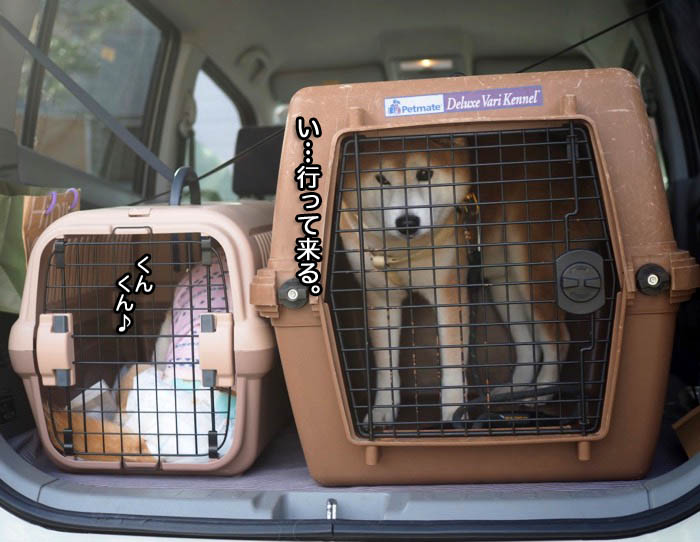 6日夜ブログ５