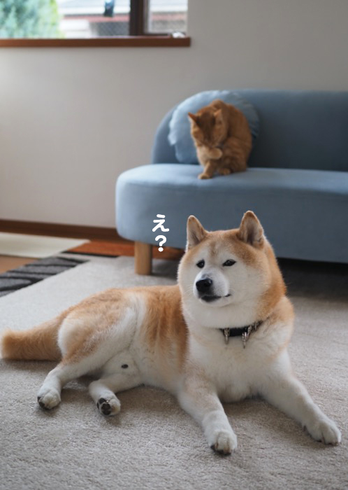 14日ブログ１