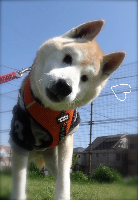 18日夜ブログ７