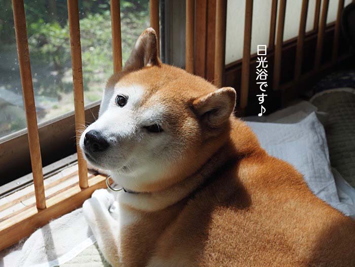 1日ブログ４
