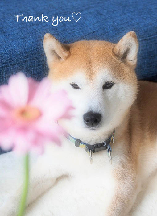 19日先ブログ7