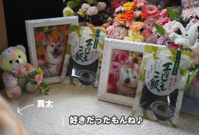 1日夕ブログ１１