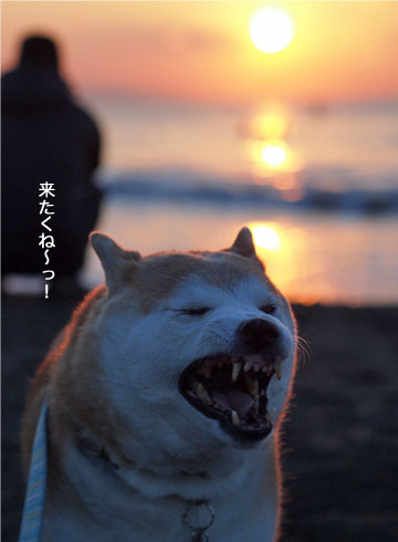 2日ブログ4.jpg