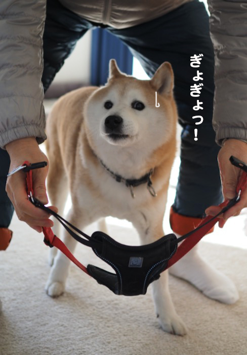 8日ブログ２