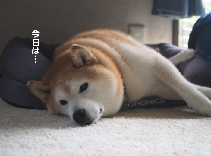 27日ブログ３