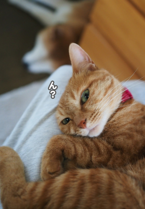 17日夕ブログ３