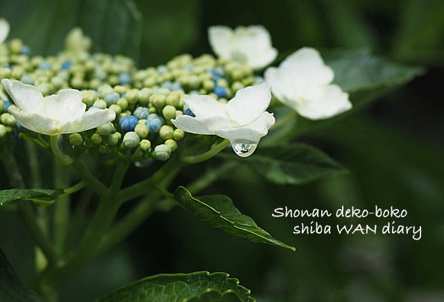 18日ブログ1