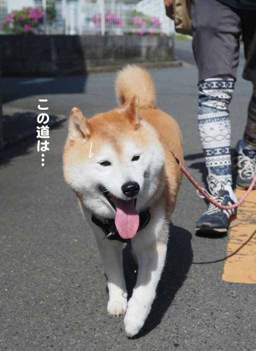 29日ブログ４