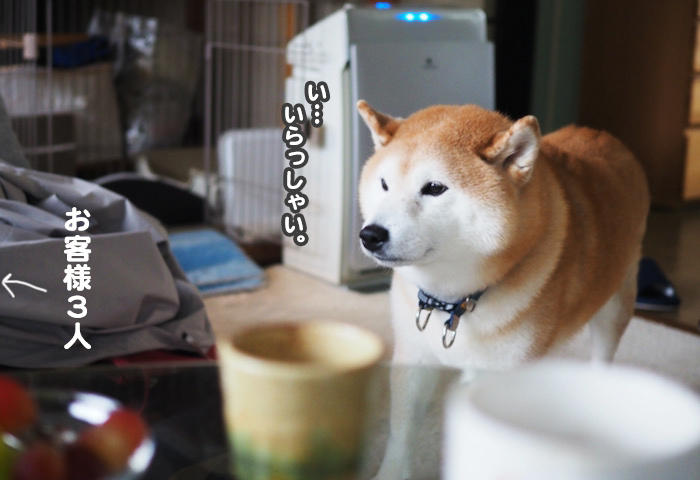 26日ブログ２