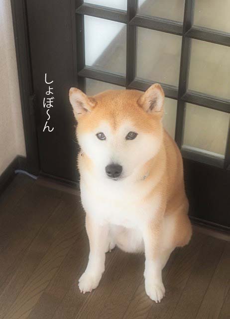 9日ブログ5