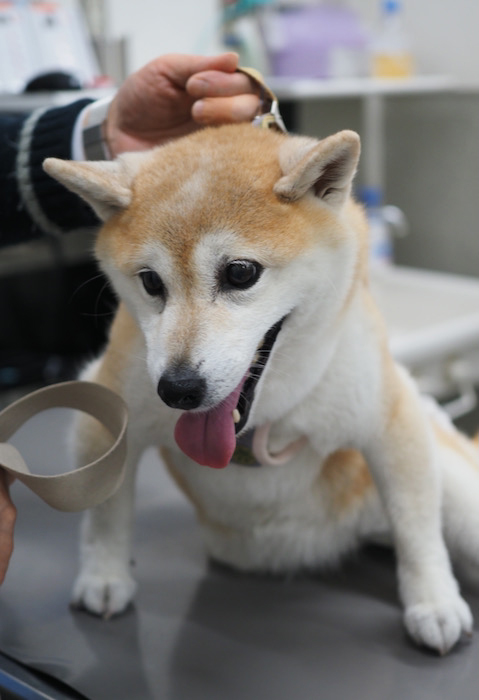 5日午後ブログ３