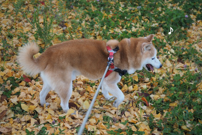 15日夕ブログ２