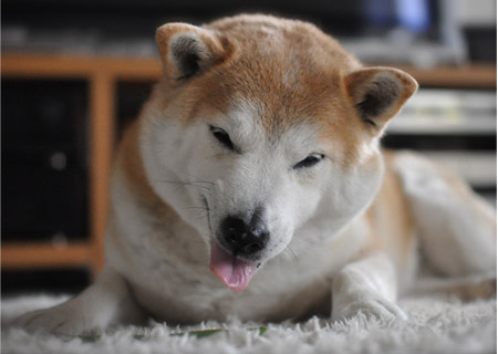9日ブログ5.jpg