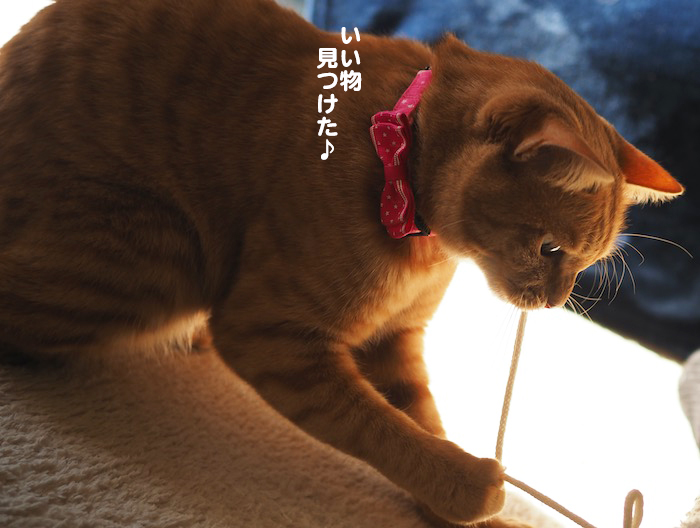 9日夜ブログ２