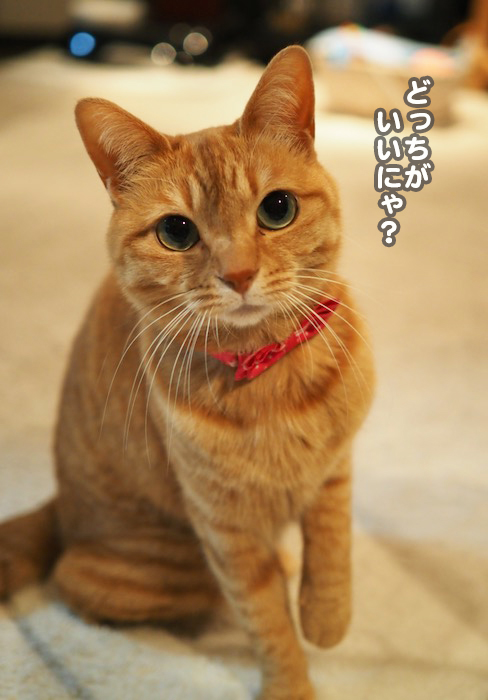 24日ブログ４