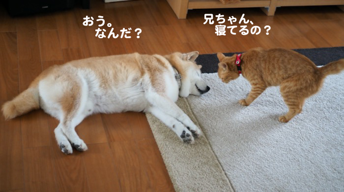16日ブログ１