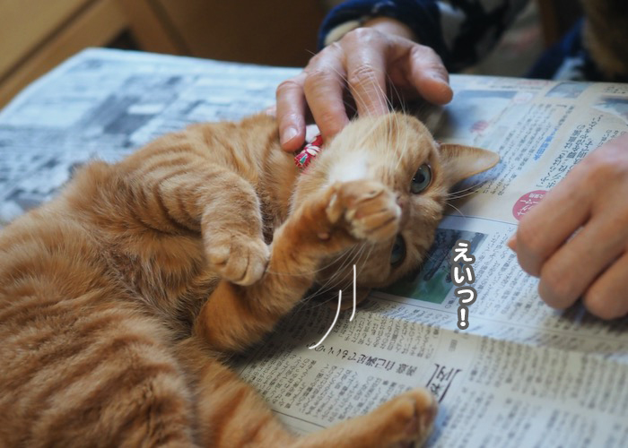 7日朝ブログ４
