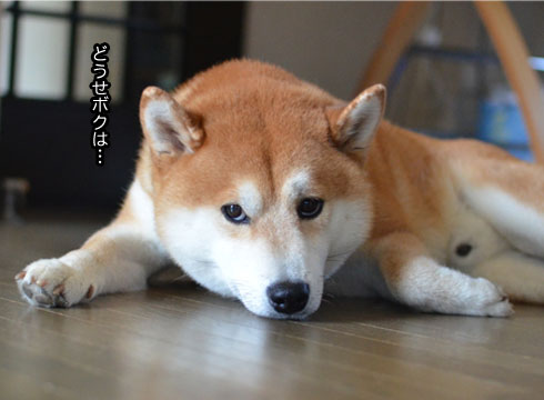 31日ブログ15.jpg
